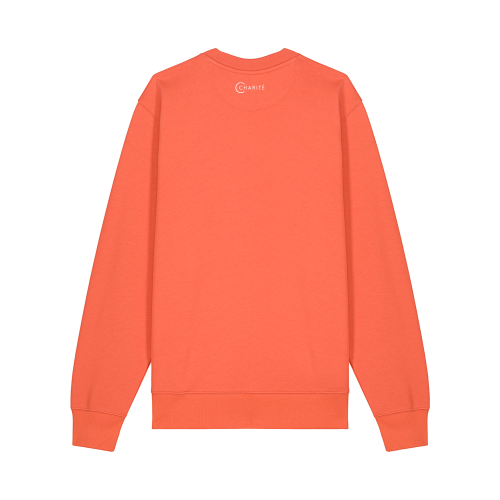 SPIRIT, Sweatshirt, Korall