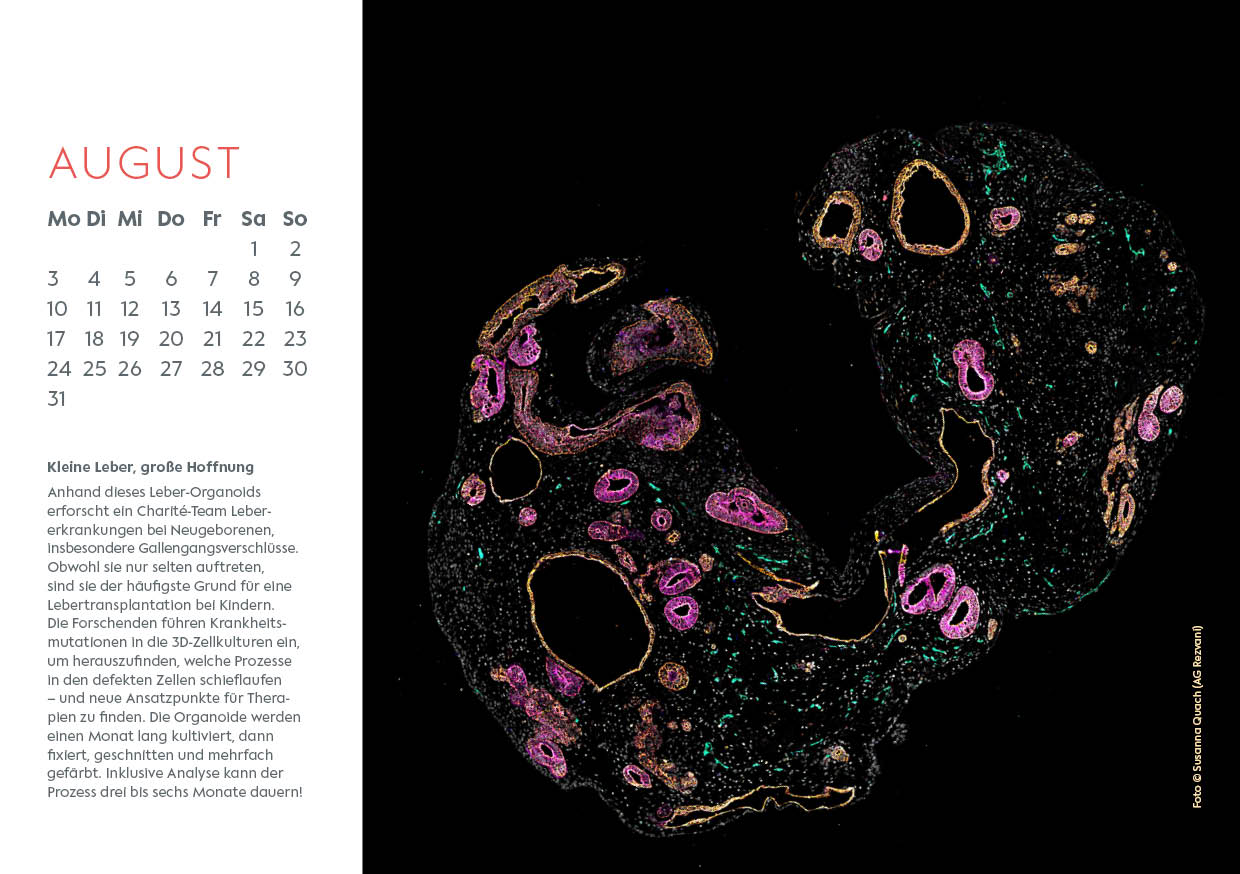 Kalender Science Rocks 2026
