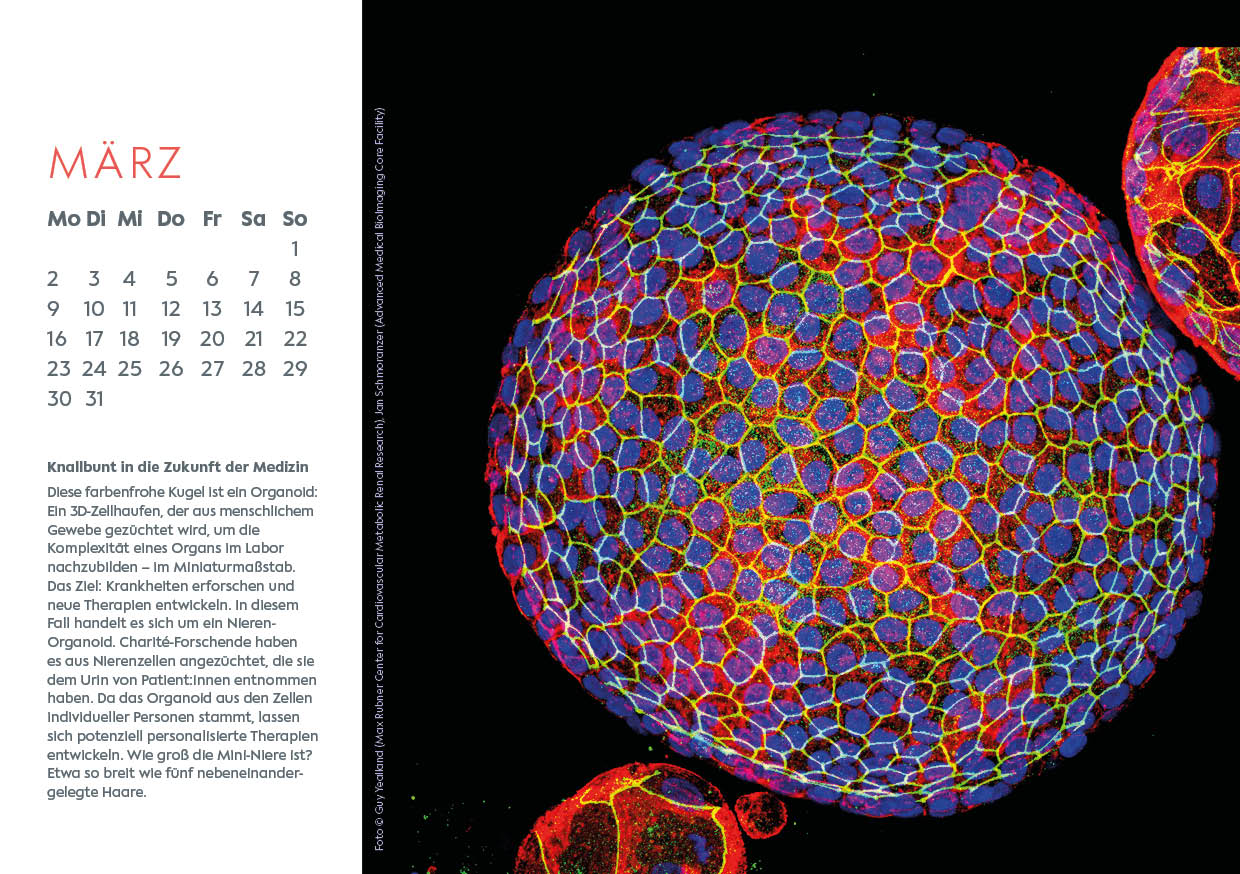 Kalender Science Rocks 2026